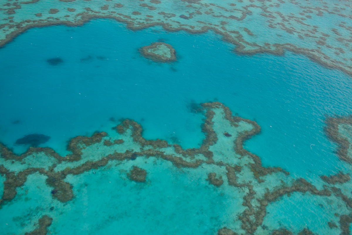 eatsleepwear, travel, australia, hamilton island, honeymoon, great barrier reef, helicopter