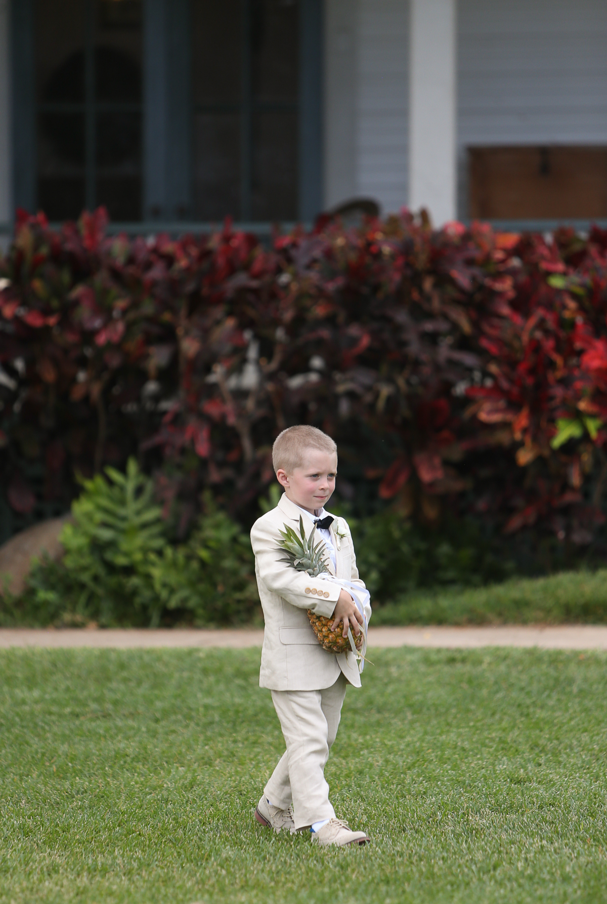 eatsleepwear, Kimberly Lapides, Kimberly Pesch, Wedding, Beach Wedding, Wedding Ceremony, Palm Trees, Alison Conklin, Maui, Hawaii, Olowalu Plantation House, Vera Wang, J.crew