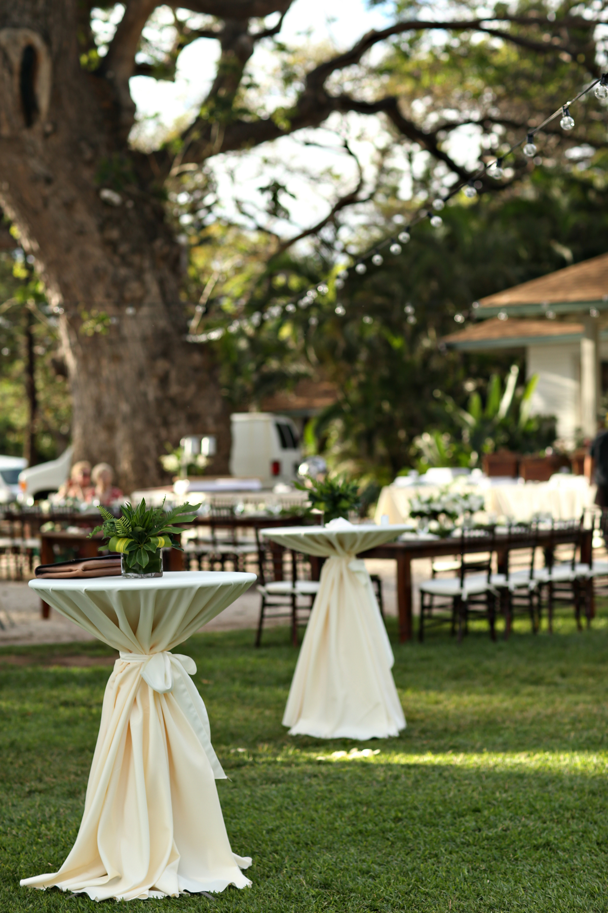 EatSleepWear, Wedding, Beach Wedding, Reception, Alison Conklin, Maui, Hawaii, Olowalu Plantation House, Vera Wang, Kimberly Pesch, Kimberly Lapides, Beach Wedding