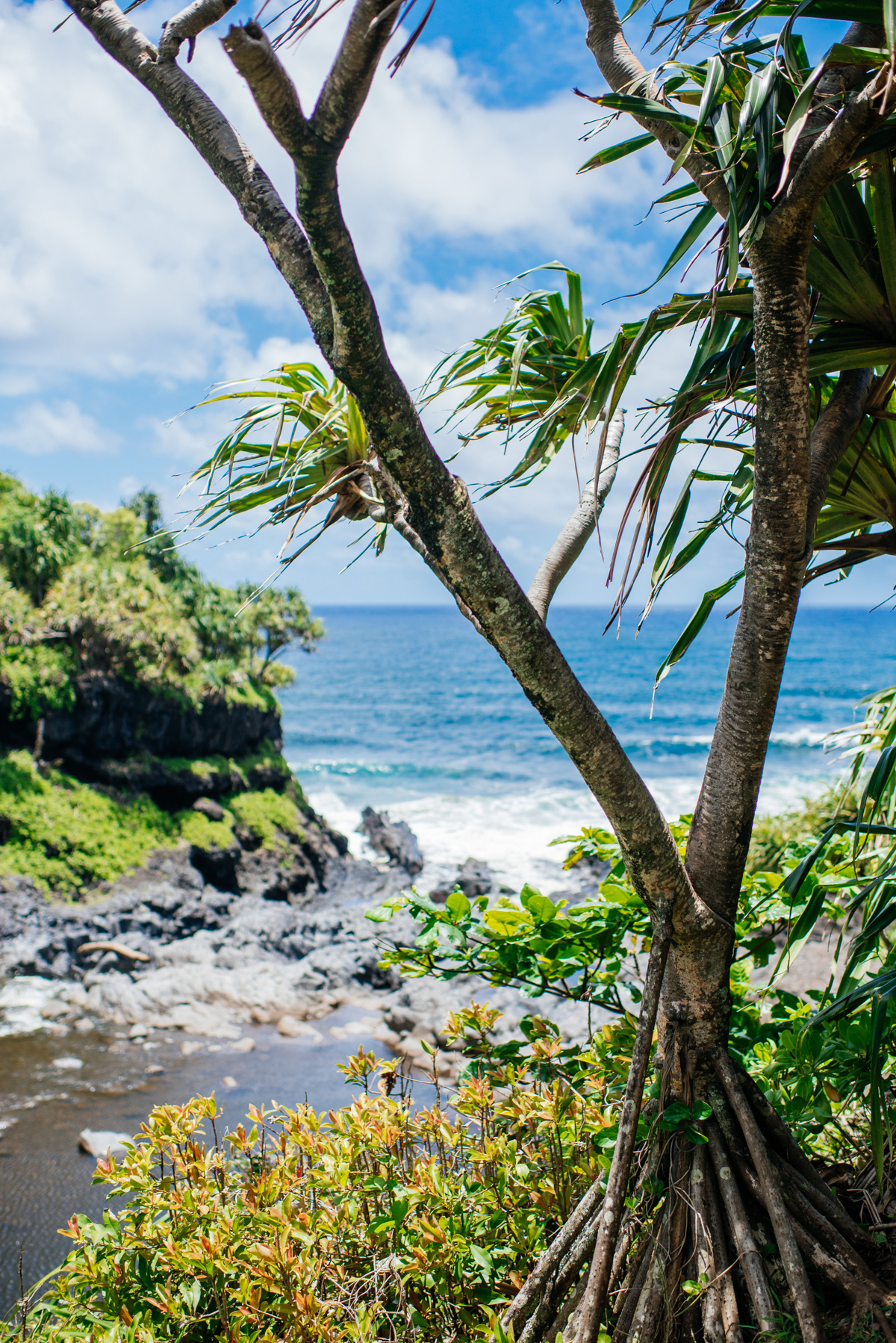 eatsleepwear, kimberly lapides, Maui, Hawaii, travel, Wailea, Hotel Wailea, Parker NY, Celine, ella moss, soludos