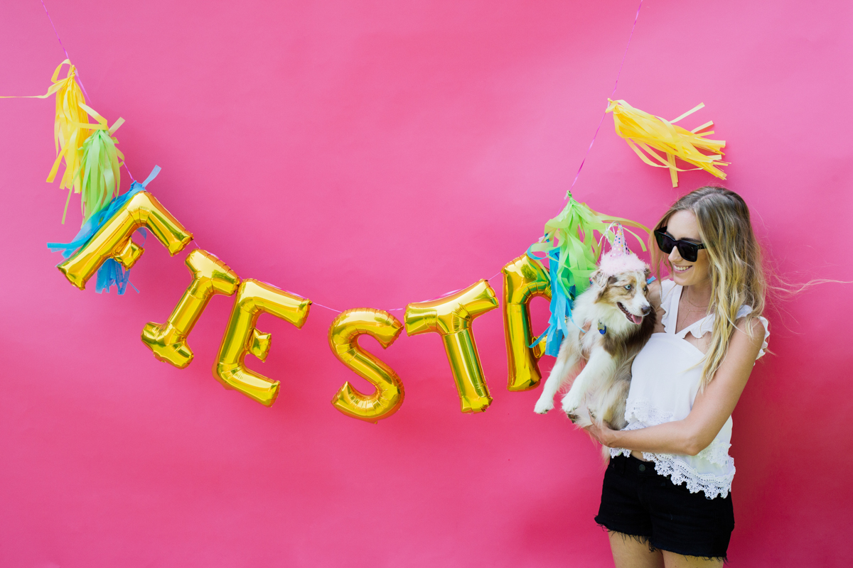 eatsleepwear-lola-miniaussie-dog-dogbirthday-dogparty-fiesta-kimberlylapides-14