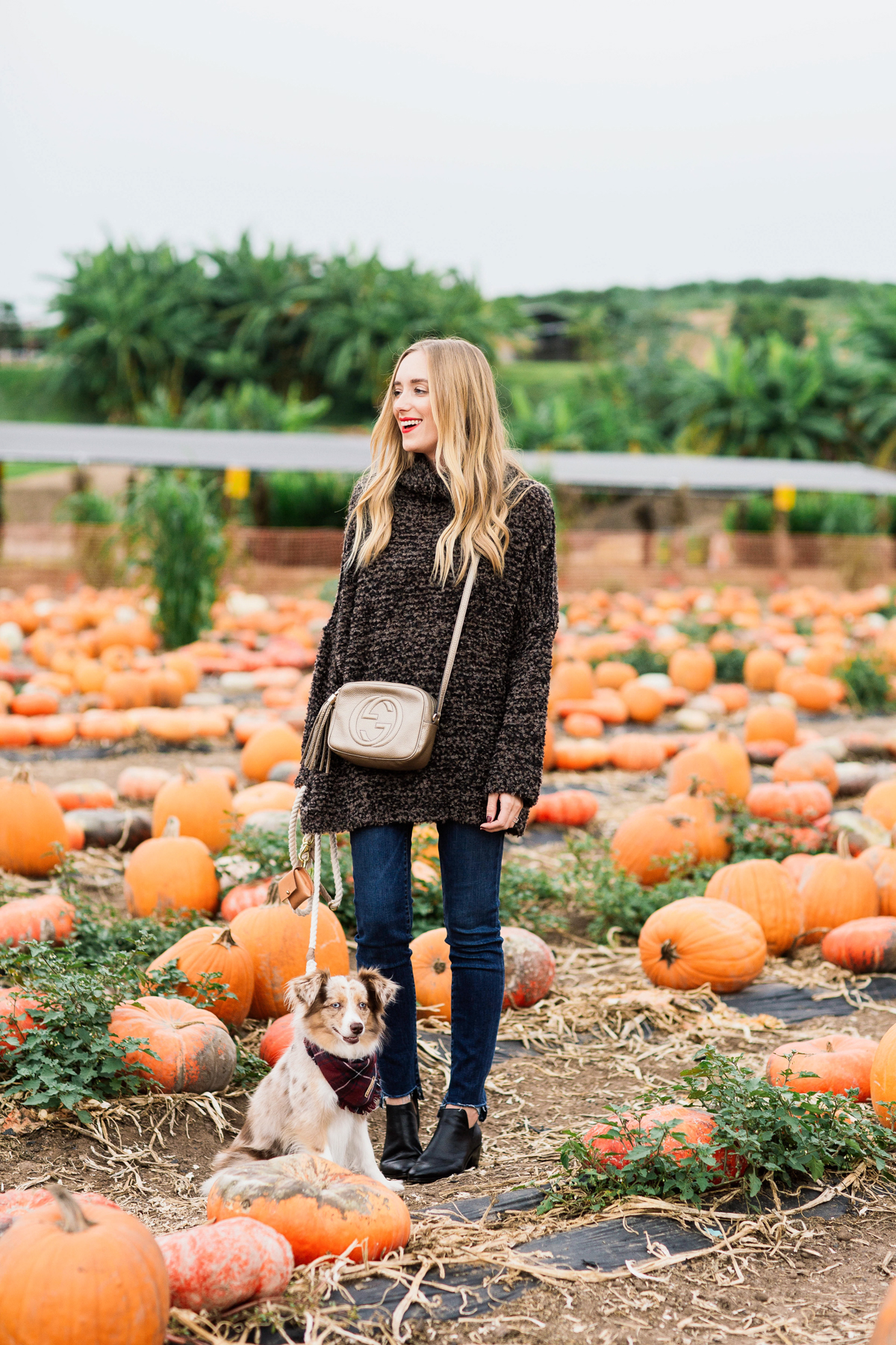 eatsleepwear, outfit, halloween, pumpkin patch, free people, kimberly lapides, jbrand, pumpkins, sigerson morrison, gucci