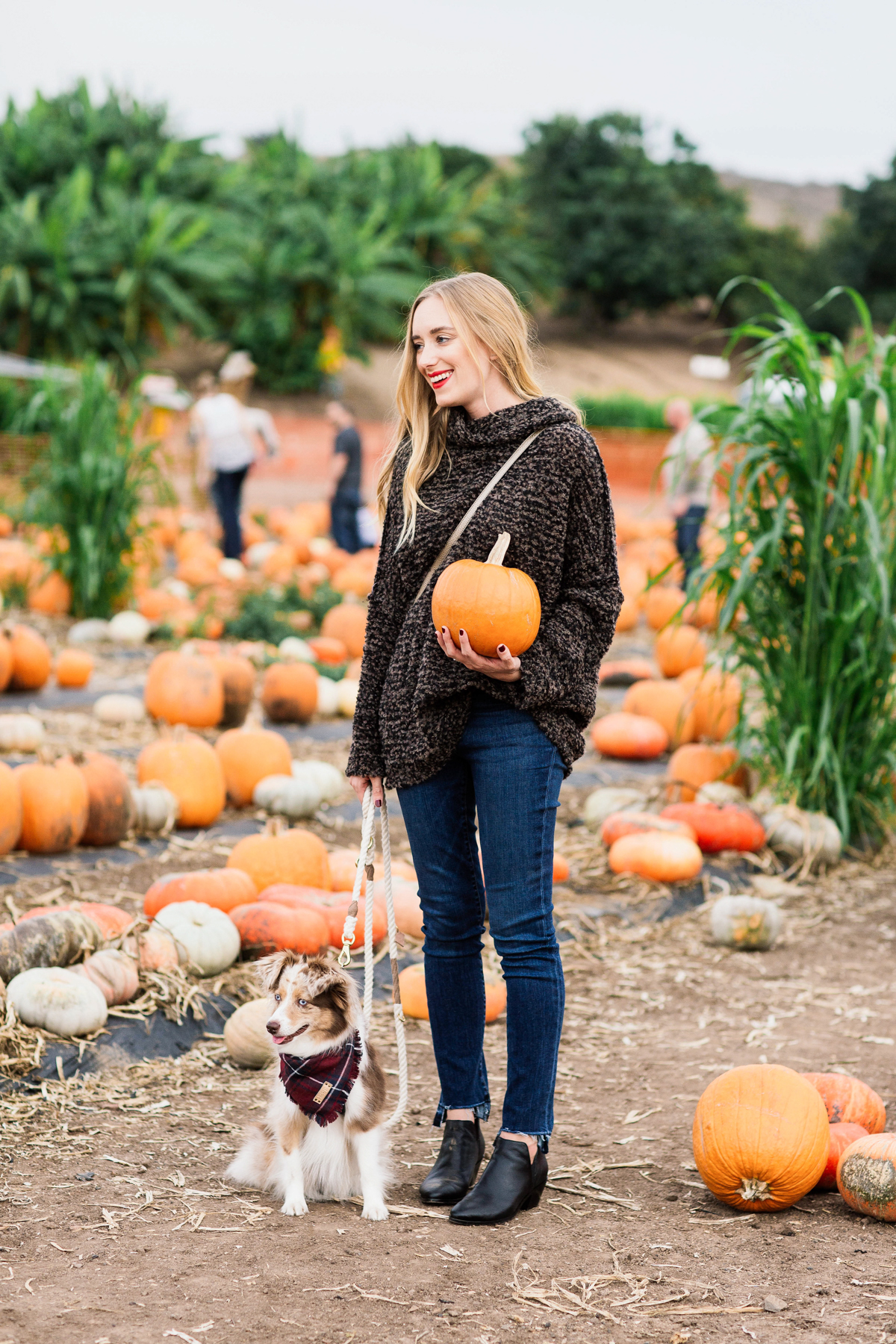 eatsleepwear, outfit, halloween, pumpkin patch, free people, kimberly lapides, jbrand, pumpkins, sigerson morrison, gucci