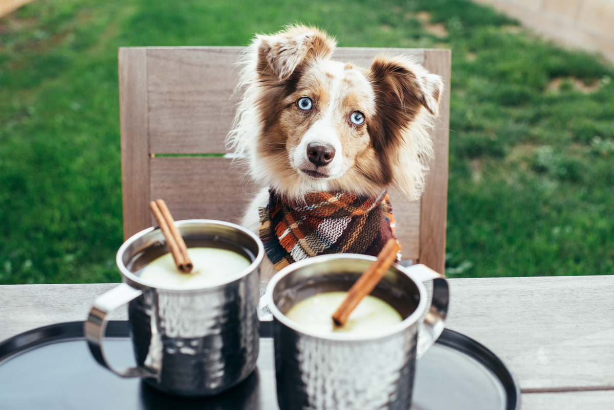 eatsleepwear, Kimberly Lapides, HOME, Recipe, Cocktail, Spiked Apple Cider Punch