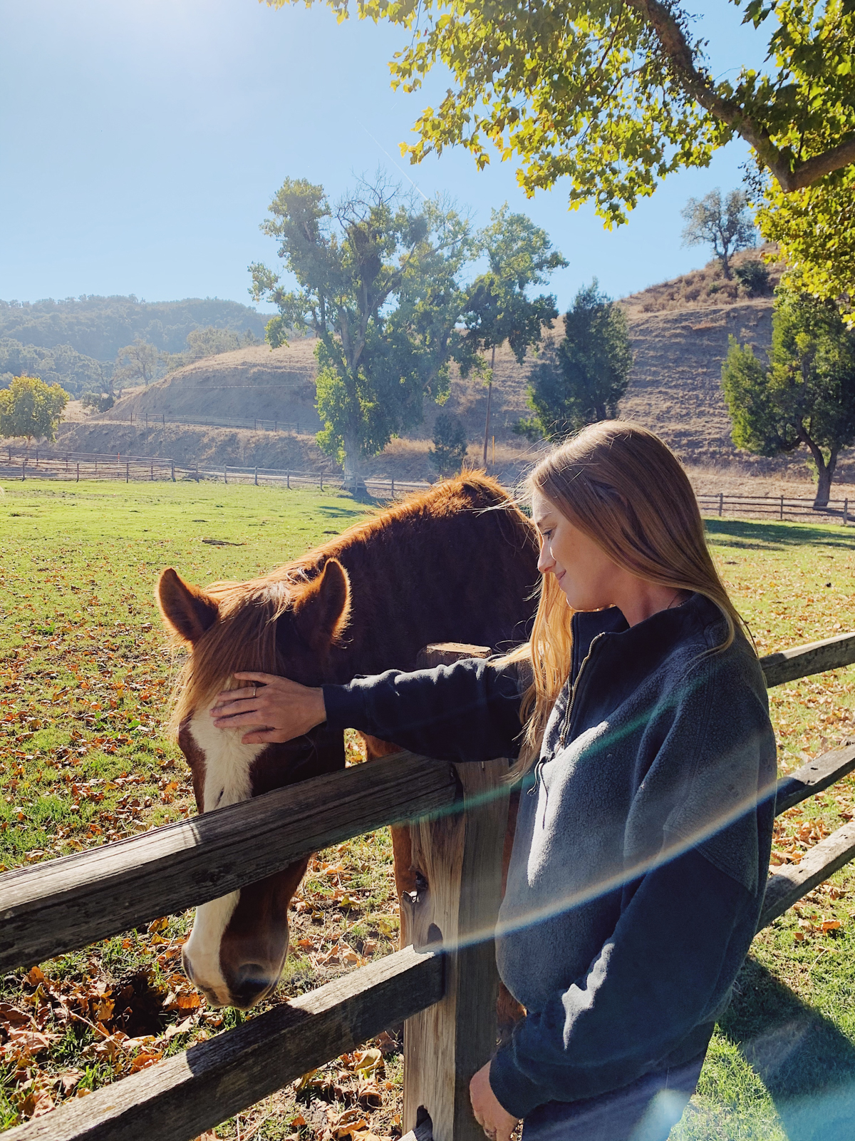 Petting horse at Alisal Guest Ranch and Resort 