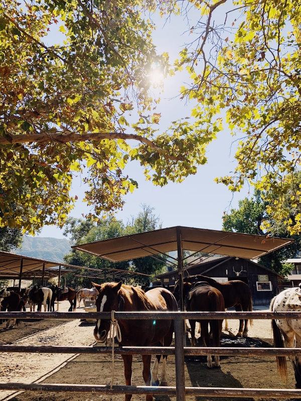 Horse stables at Alisal Guest Ranch and Resort 