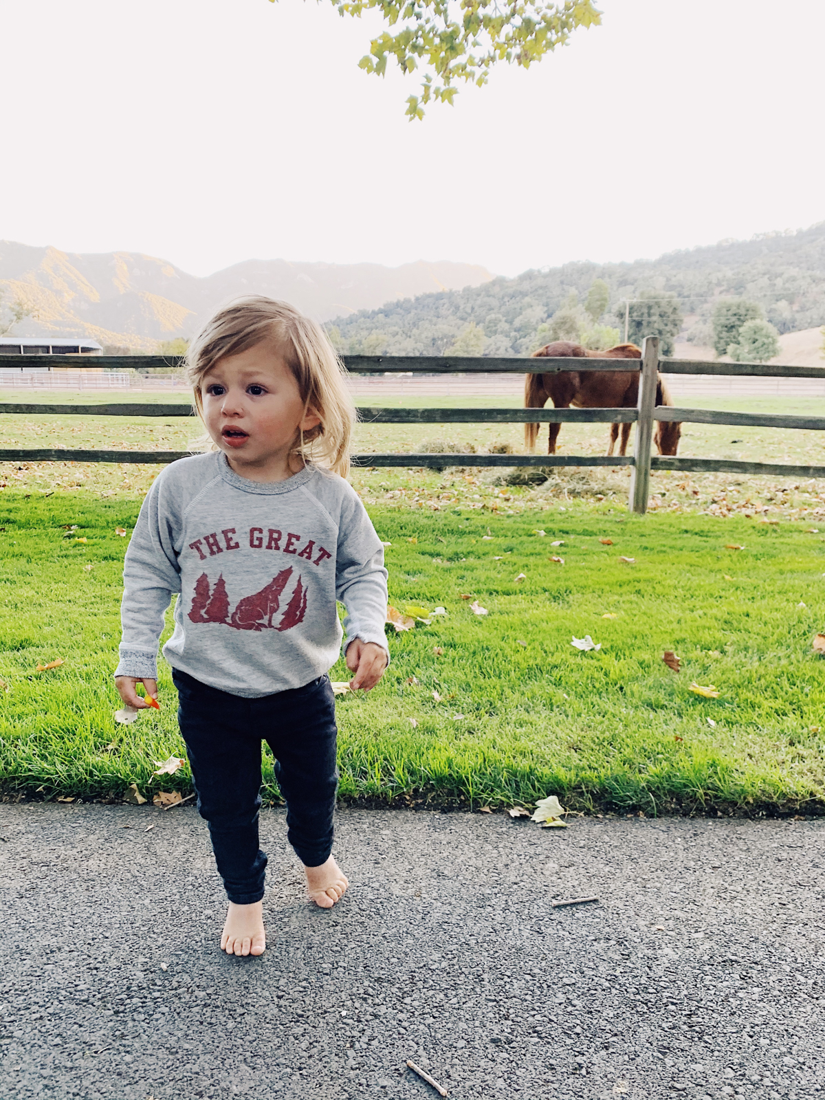 Toddler watching horses at Alisal Guest Ranch and Resort 
